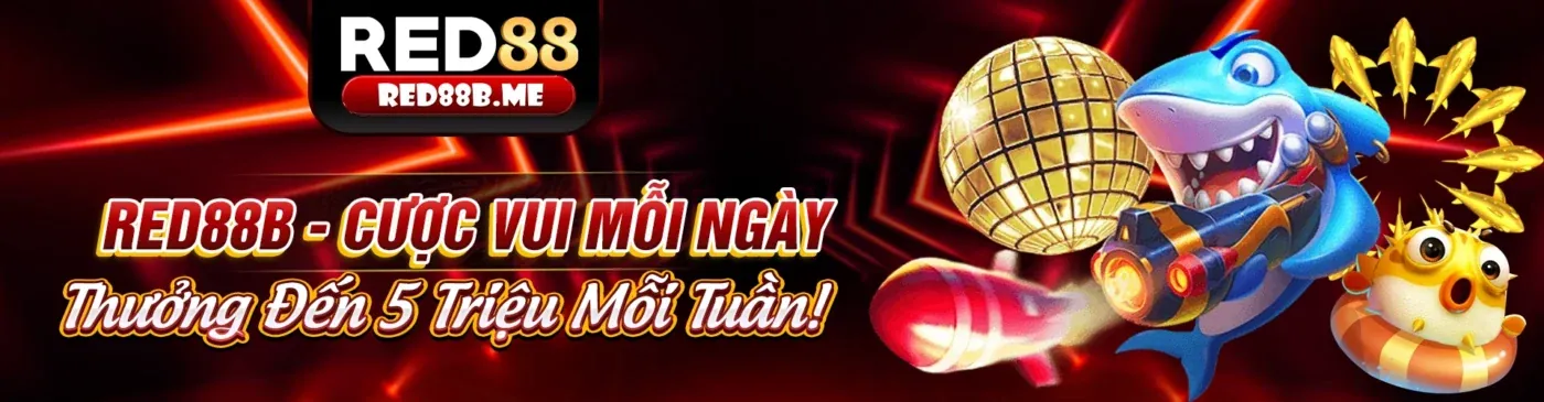 Nghiên cứu và phân tích kỹ lưỡng